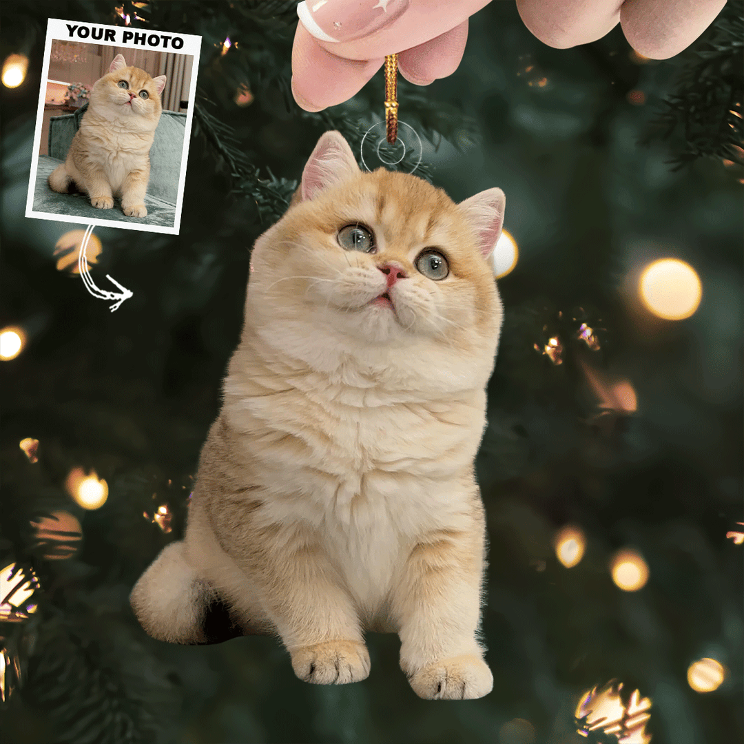 Festive Furball - Personalized Photo Mica Ornament - Christmas Gift For Cat Lovers, Cat Owners