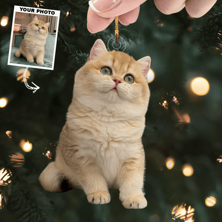 Festive Furball - Personalized Photo Mica Ornament - Christmas Gift For Cat Lovers, Cat Owners