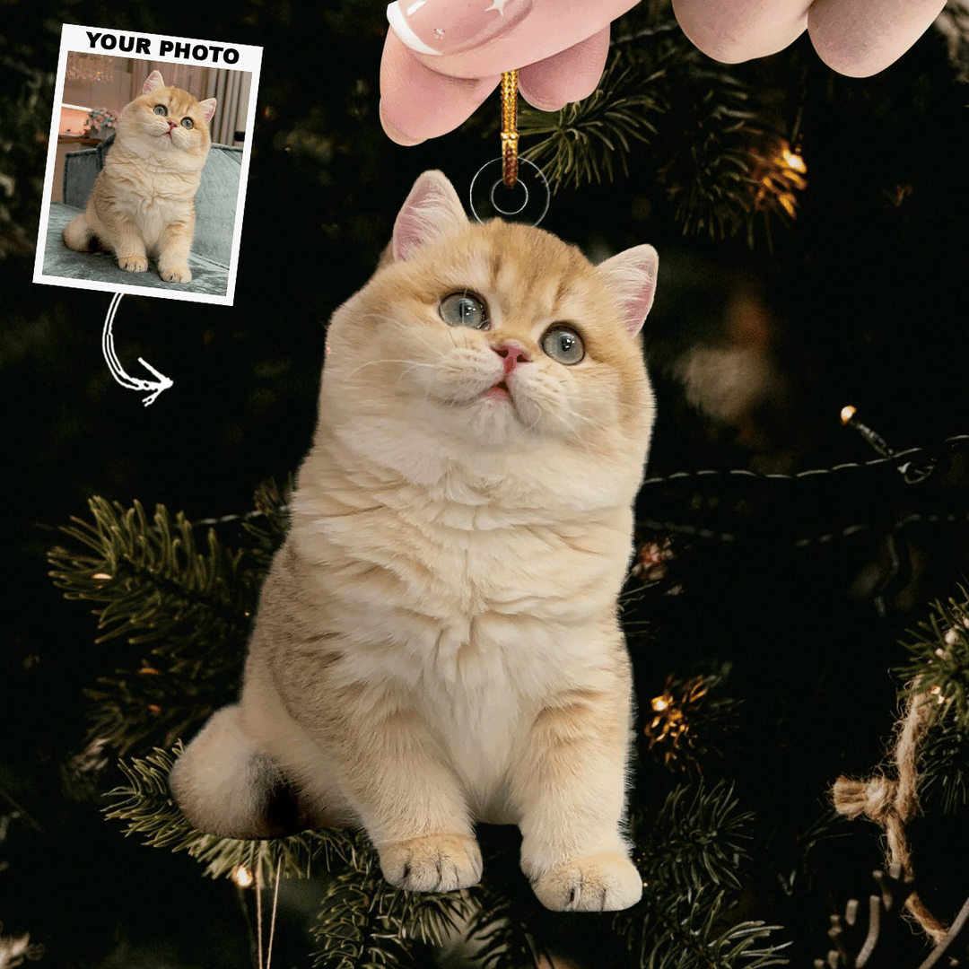 Festive Furball - Personalized Photo Mica Ornament - Christmas Gift For Cat Lovers, Cat Owners