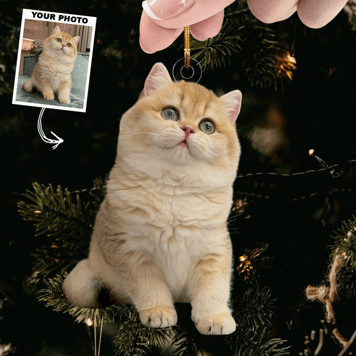 Festive Furball - Personalized Photo Mica Ornament - Christmas Gift For Cat Lovers, Cat Owners