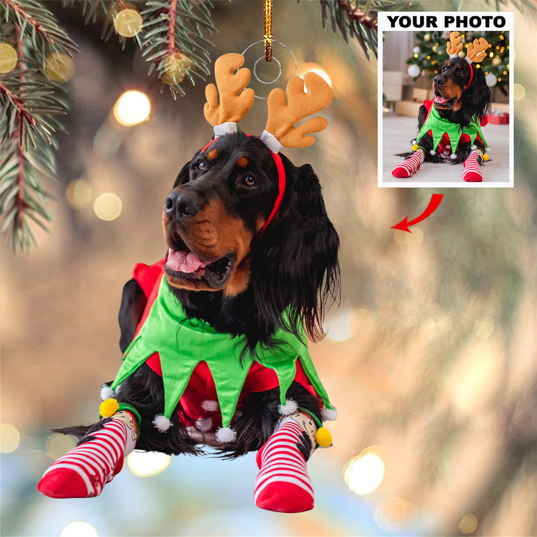 Snowy Smiles - Personalized Photo Mica Ornament - Gift For Pet Lovers, Pet Owners, Family Members