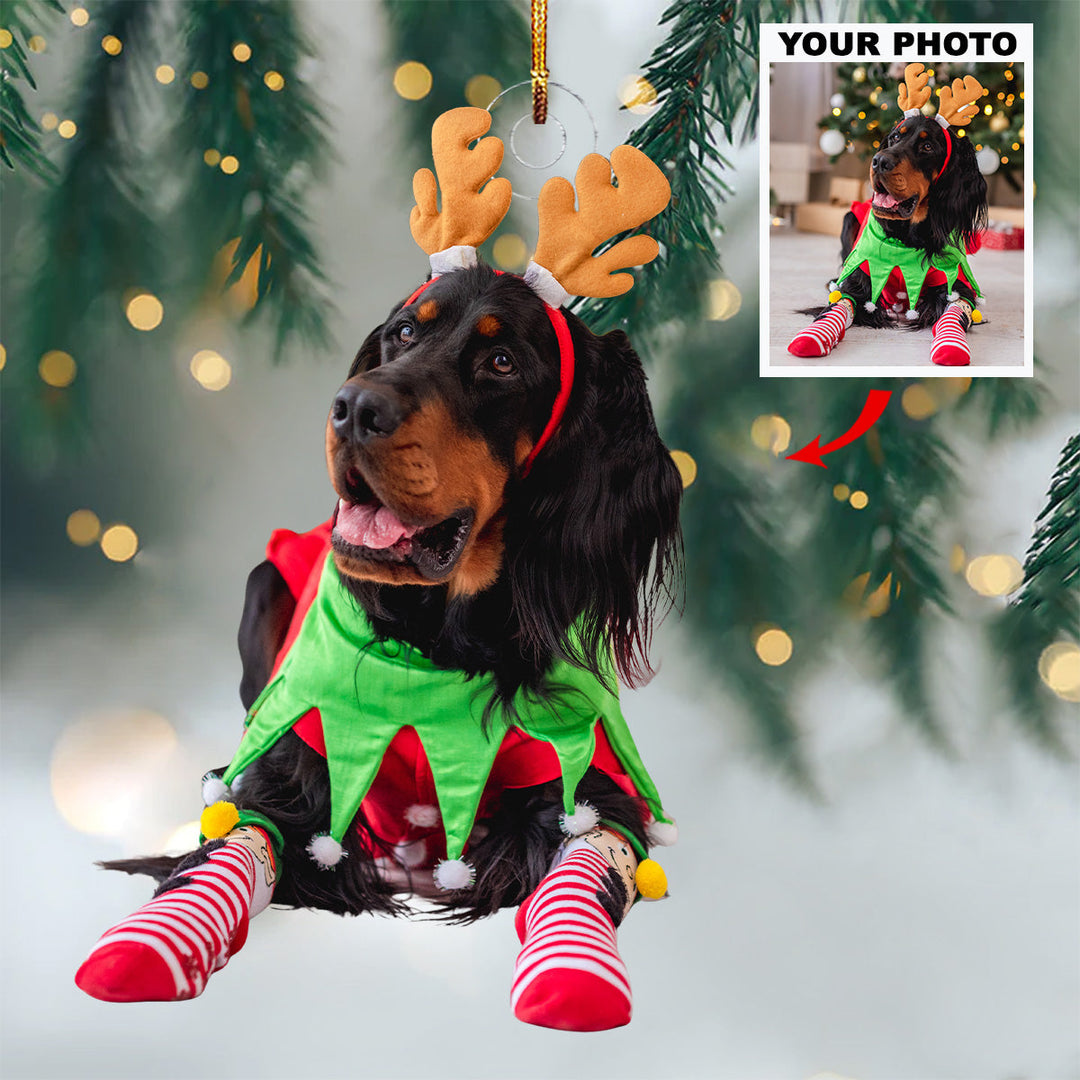 Snowy Smiles - Personalized Photo Mica Ornament - Gift For Pet Lovers, Pet Owners, Family Members