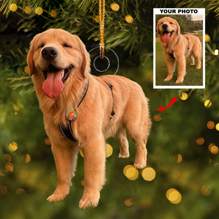 Pawfect Holiday - Personalized Photo Mica Ornament - Christmas Gift For Dog Lovers, Dog Owners