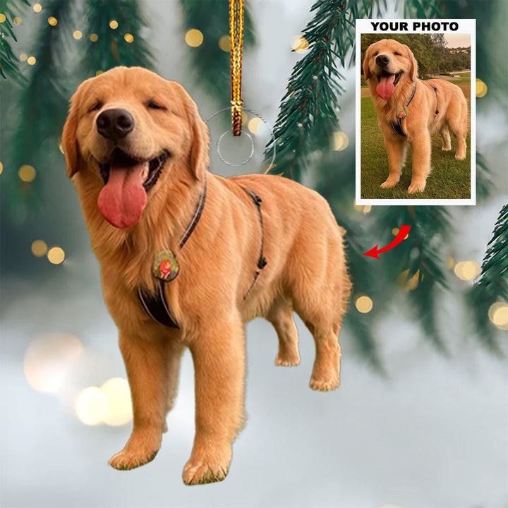 Pawfect Holiday - Personalized Photo Mica Ornament - Christmas Gift For Dog Lovers, Dog Owners
