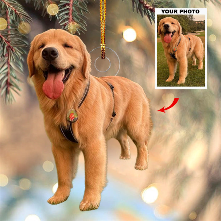 Pawfect Holiday - Personalized Photo Mica Ornament - Christmas Gift For Dog Lovers, Dog Owners