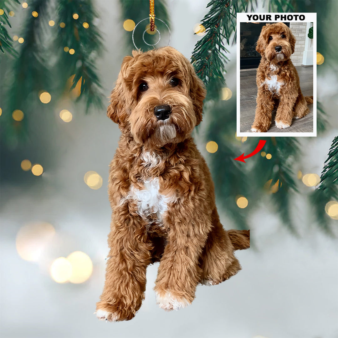 Fur-Ever Friends - Personalized Photo Mica Ornament - Christmas Gift For Dog Lovers