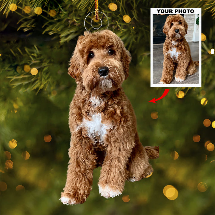 Fur-Ever Friends - Personalized Photo Mica Ornament - Christmas Gift For Dog Lovers