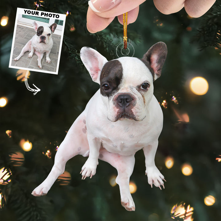 Adorable Dog Moment - Personalized Photo Mica Ornament - Christmas Gift For Dog Lovers, Dog Owners