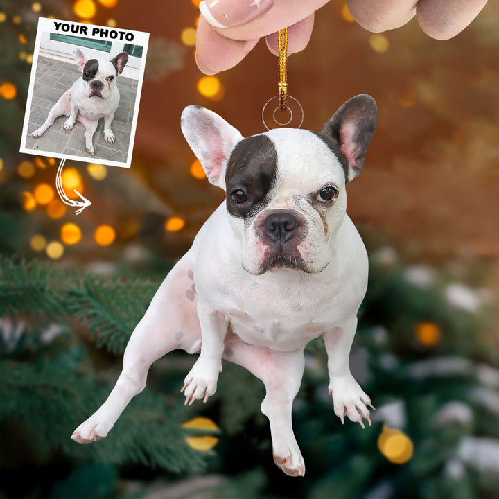 Adorable Dog Moment - Personalized Photo Mica Ornament - Christmas Gift For Dog Lovers, Dog Owners