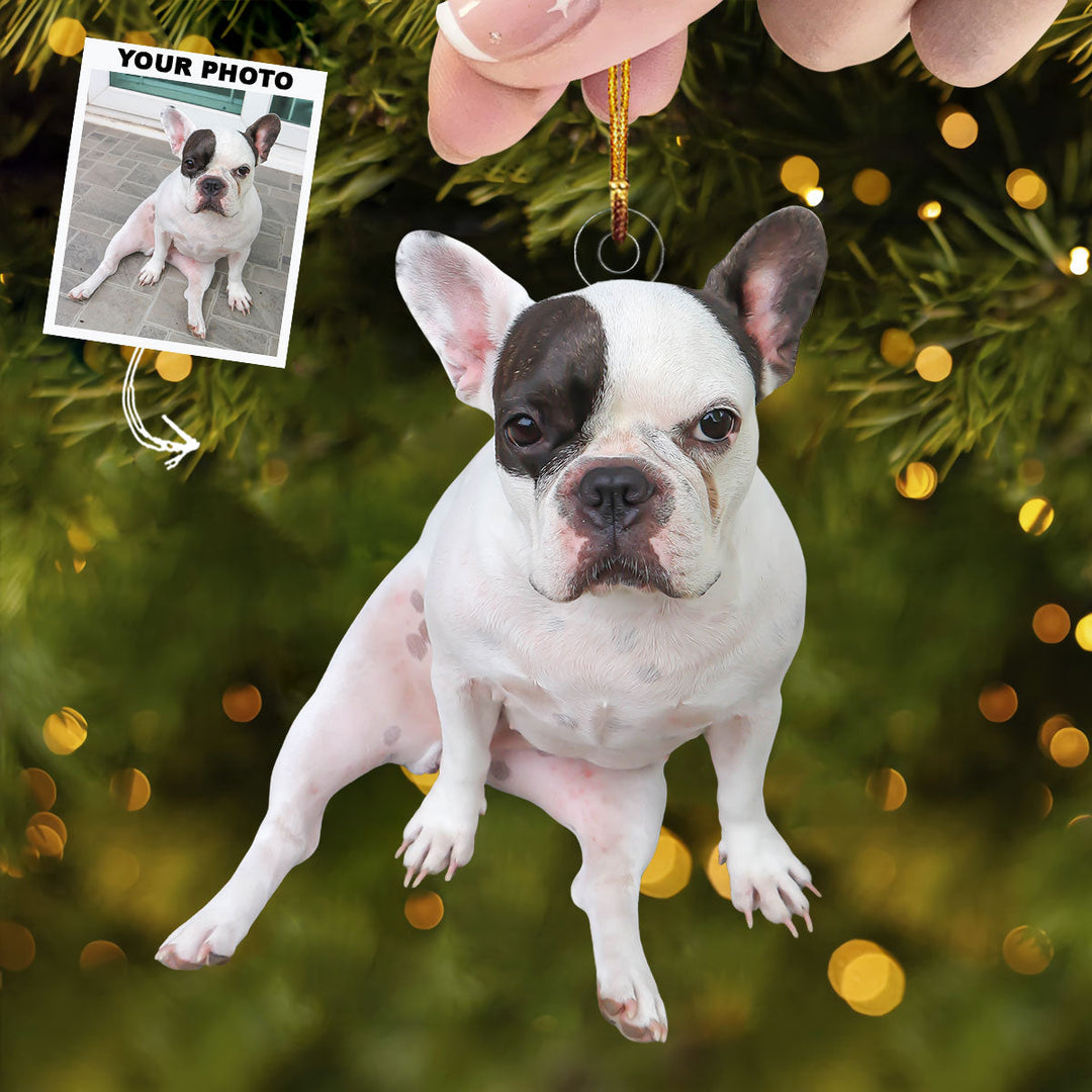 Adorable Dog Moment - Personalized Photo Mica Ornament - Christmas Gift For Dog Lovers, Dog Owners