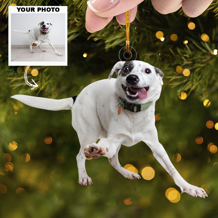 Funny Dog - Personalized Photo Mica Ornament - Christmas Gift For Dog Lovers, Dog Owners