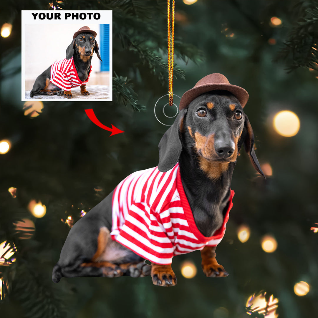 Lovely Paw - Personalized Photo Mica Ornament - Christmas Gift For Pet Lovers, Dog Lovers