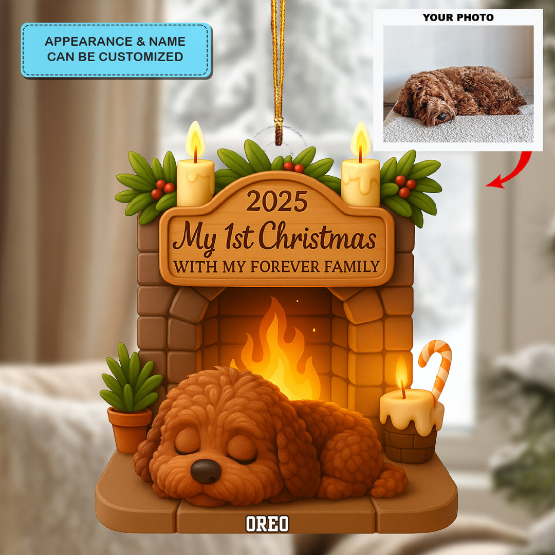 First Christmas With Forever Family - Personalized Photo Ornament - Christmas Gift For Pet Lovers AGP0DH050