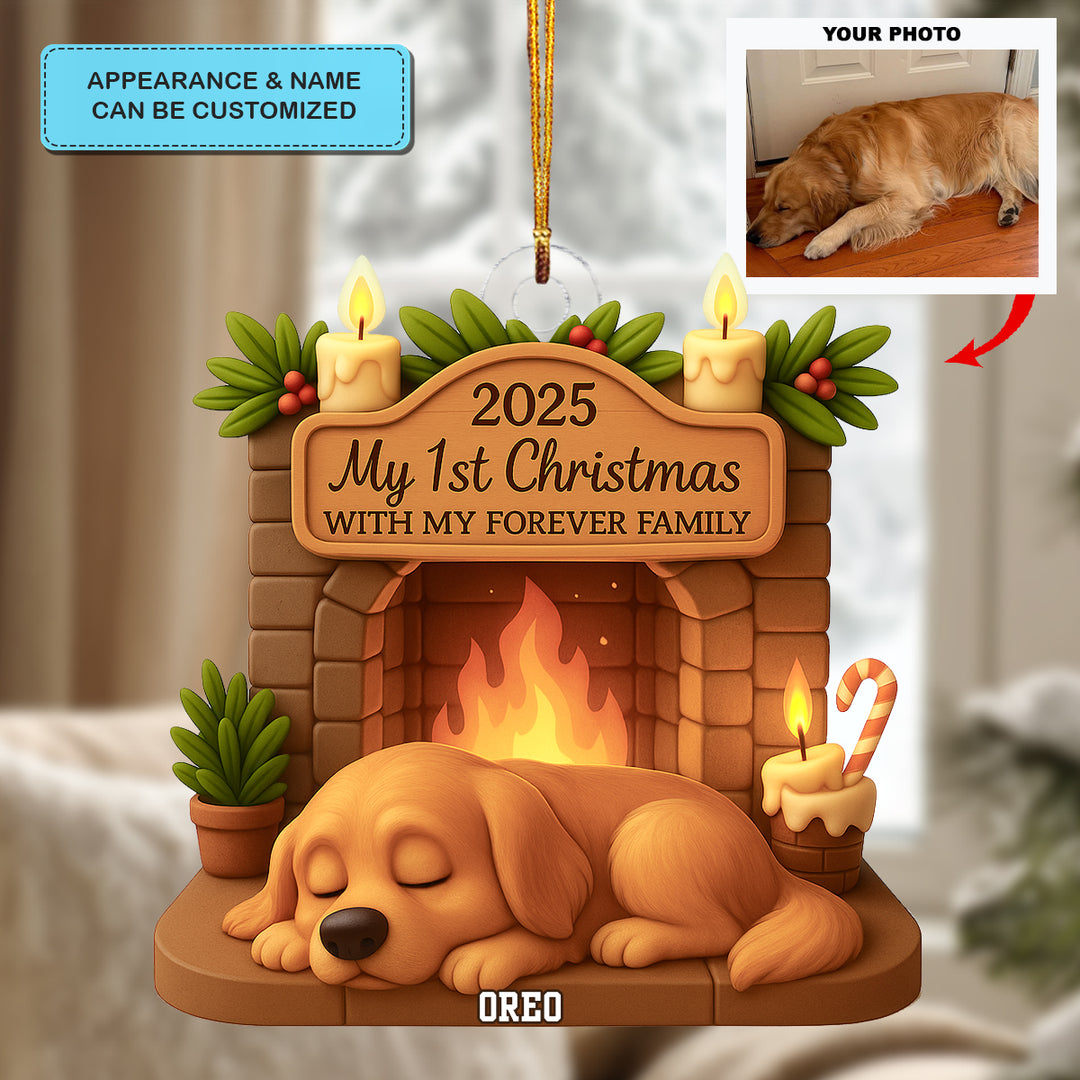 First Christmas With Forever Family - Personalized Photo Ornament - Christmas Gift For Pet Lovers AGP0DH050