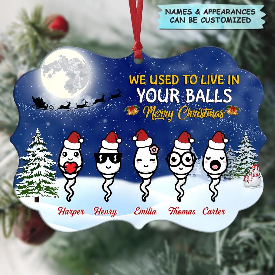 Personalized Aluminium Ornament - Gift For Dad - We Used To Live In Your Balls
