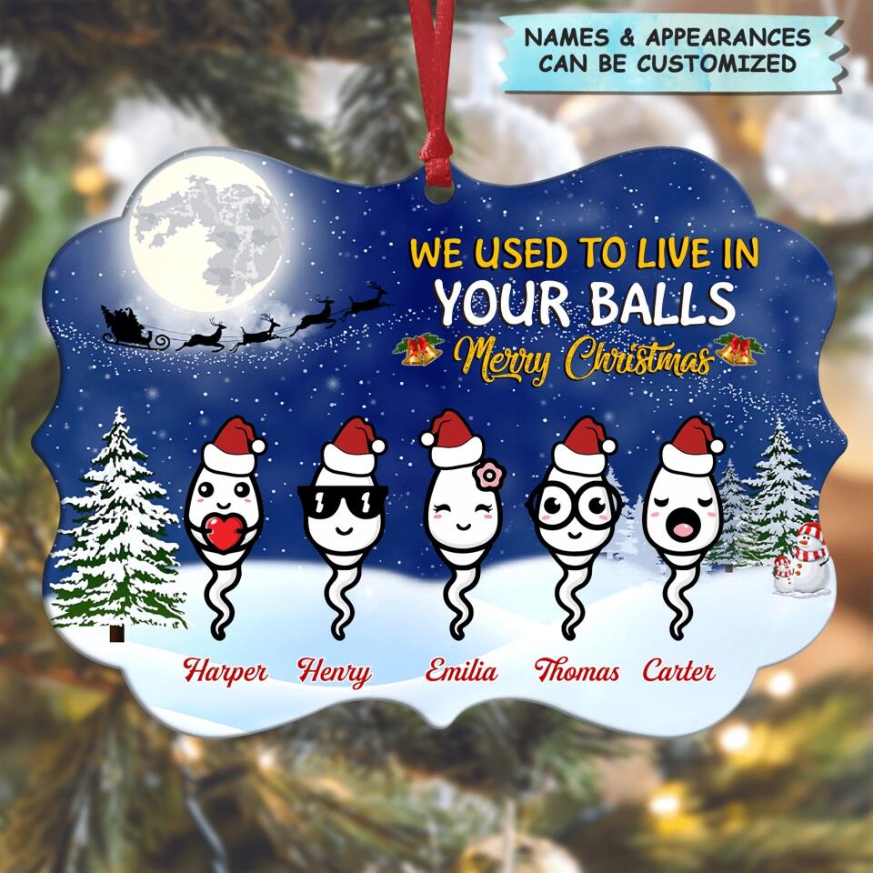 Personalized Aluminium Ornament - Gift For Dad - We Used To Live In Your Balls