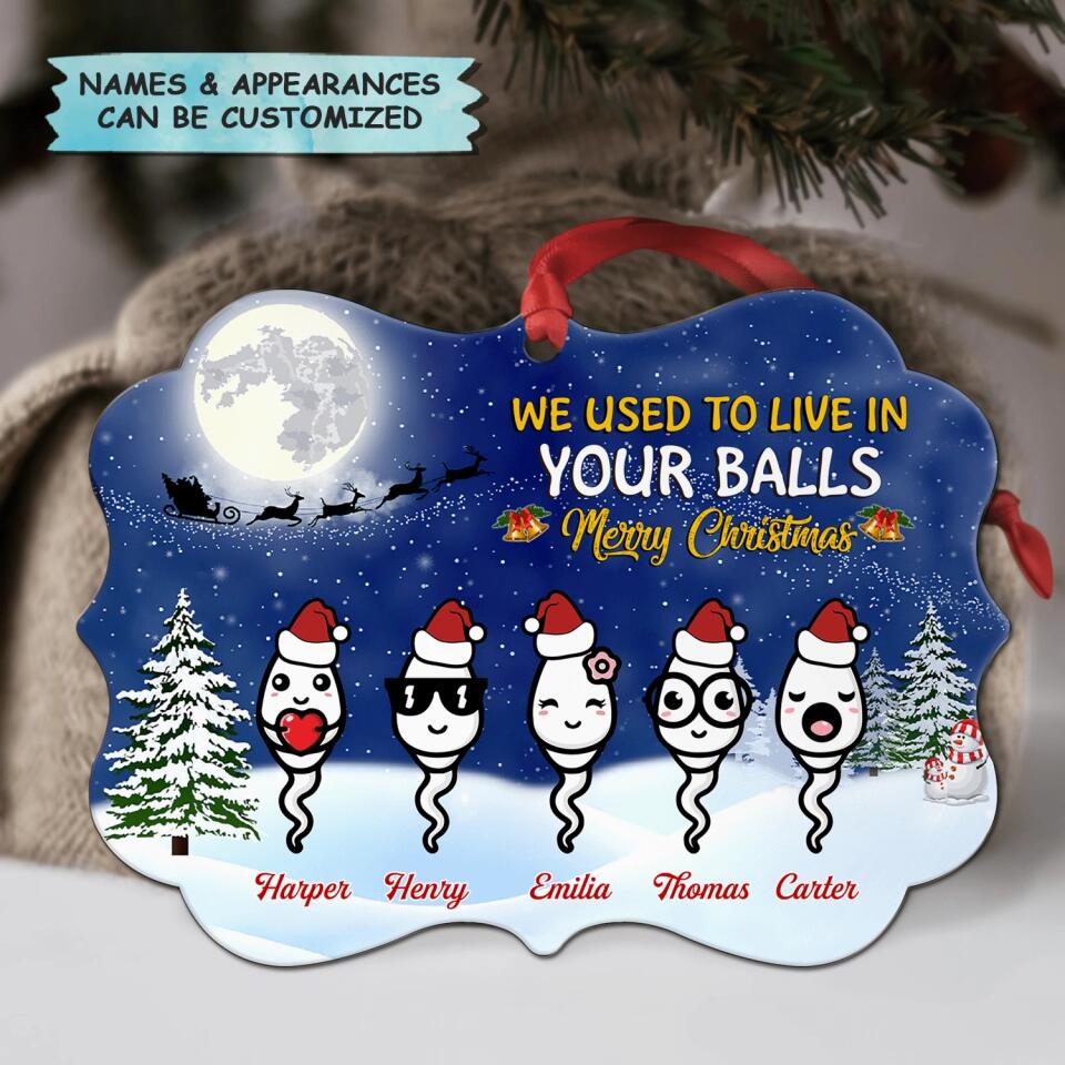 Personalized Aluminium Ornament - Gift For Dad - We Used To Live In Your Balls
