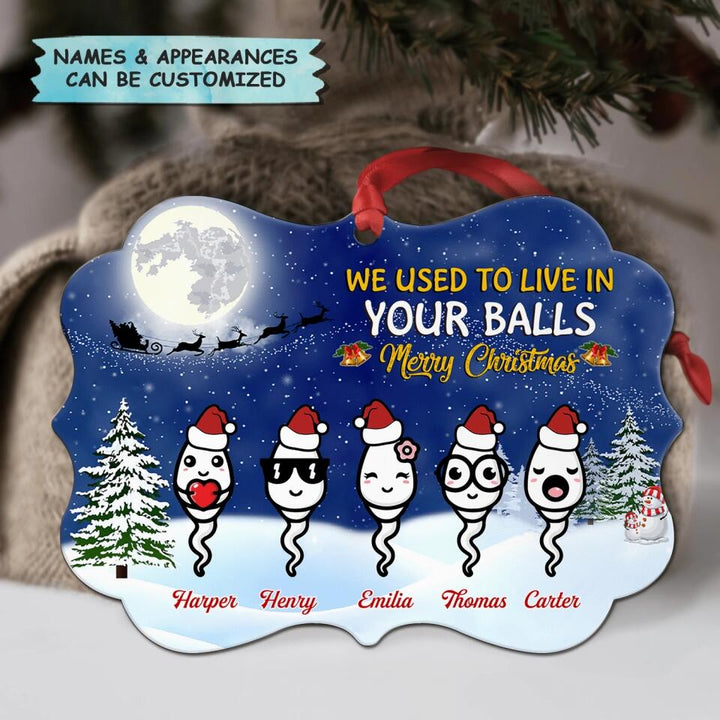 Personalized Aluminium Ornament - Gift For Dad - We Used To Live In Your Balls