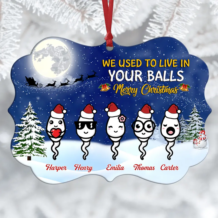 Personalized Aluminium Ornament - Gift For Dad - We Used To Live In Your Balls