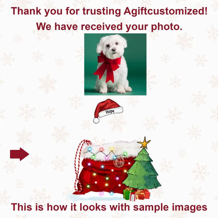 Personalized Photo Mica Ornament - Gift For Pet Lover - Dog, Cat Merry Christmas ARND037 AGCTD005