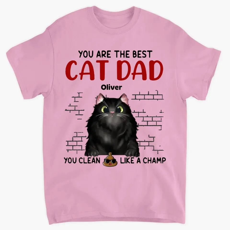 Personalized T-shirt - Father's Day, Birthday For Dad, Cat Dad, Cat Lover - Cat Dad ARND049