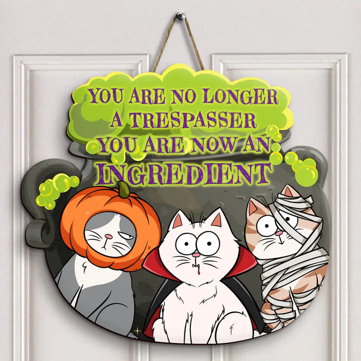 Personalized Custom Door Sign - Halloween Gift For Cat Mom, Cat Dad, Cat Lover, Cat Owner - You Are No Longer A Trespasser You Are Now An Ingredient