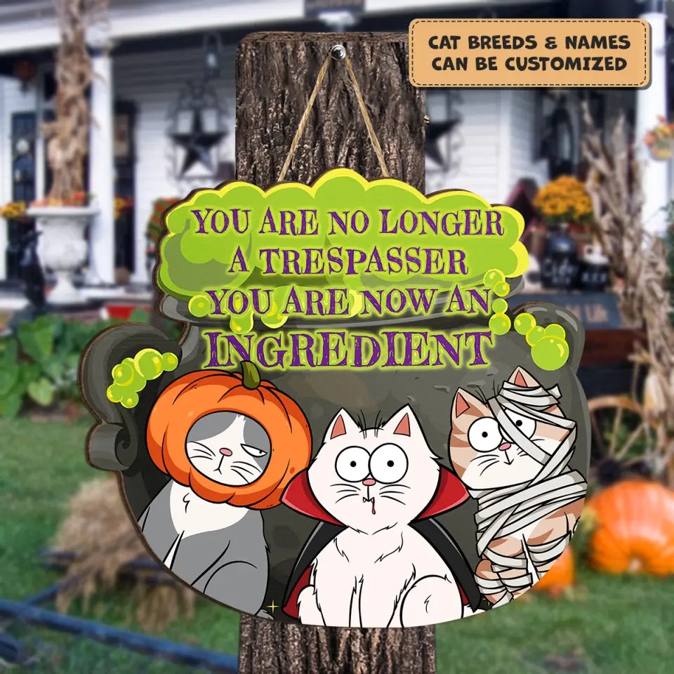 Personalized Custom Door Sign - Halloween Gift For Cat Mom, Cat Dad, Cat Lover, Cat Owner - You Are No Longer A Trespasser You Are Now An Ingredient