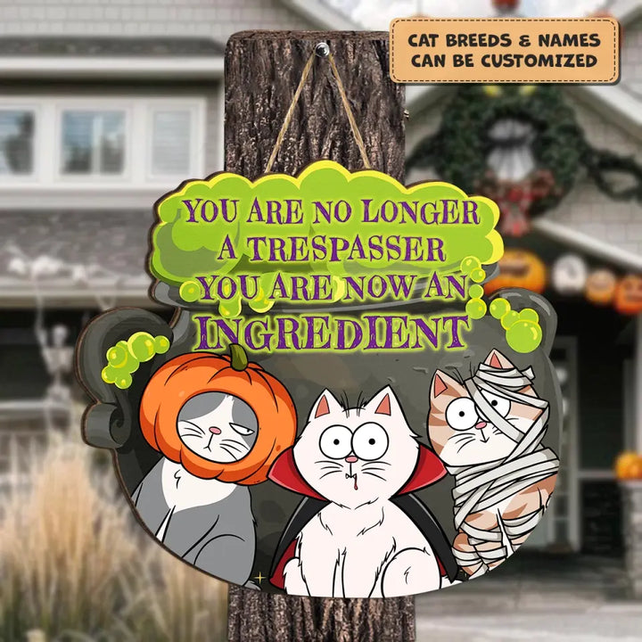Personalized Custom Door Sign - Halloween Gift For Cat Mom, Cat Dad, Cat Lover, Cat Owner - You Are No Longer A Trespasser You Are Now An Ingredient