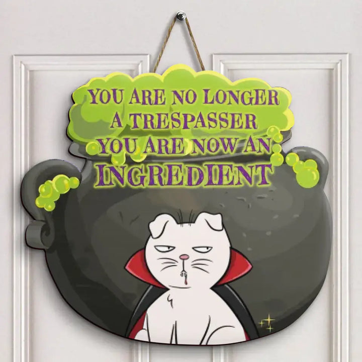 Personalized Custom Door Sign - Halloween Gift For Cat Mom, Cat Dad, Cat Lover, Cat Owner - You Are No Longer A Trespasser You Are Now An Ingredient