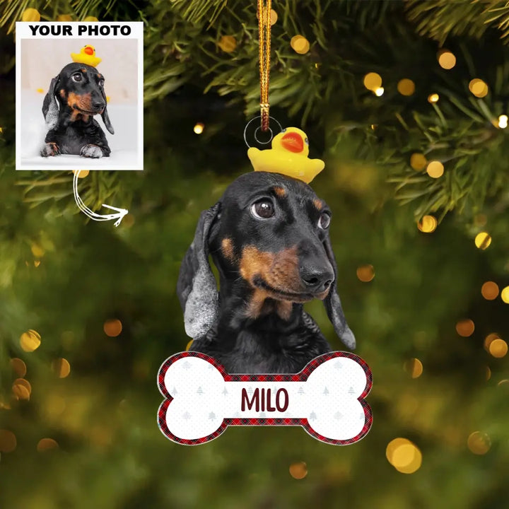 Funny Dog Cat - Personalized Custom Photo Mica Ornament - Christmas Gift For Dog Lovers, Cat Lovers AGCDM005
