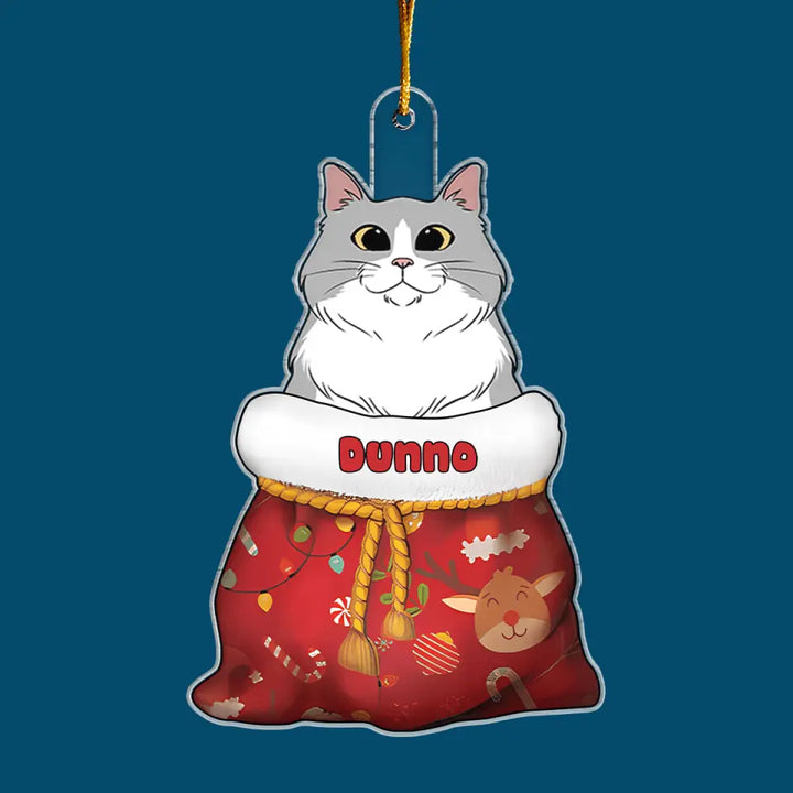 Cat In Christmas Sack - Personalized Custom Mica Ornament - Christmas Gift For Cat Lover, Cat Mom, Cat Dad, Cat Owner CLA0AD007