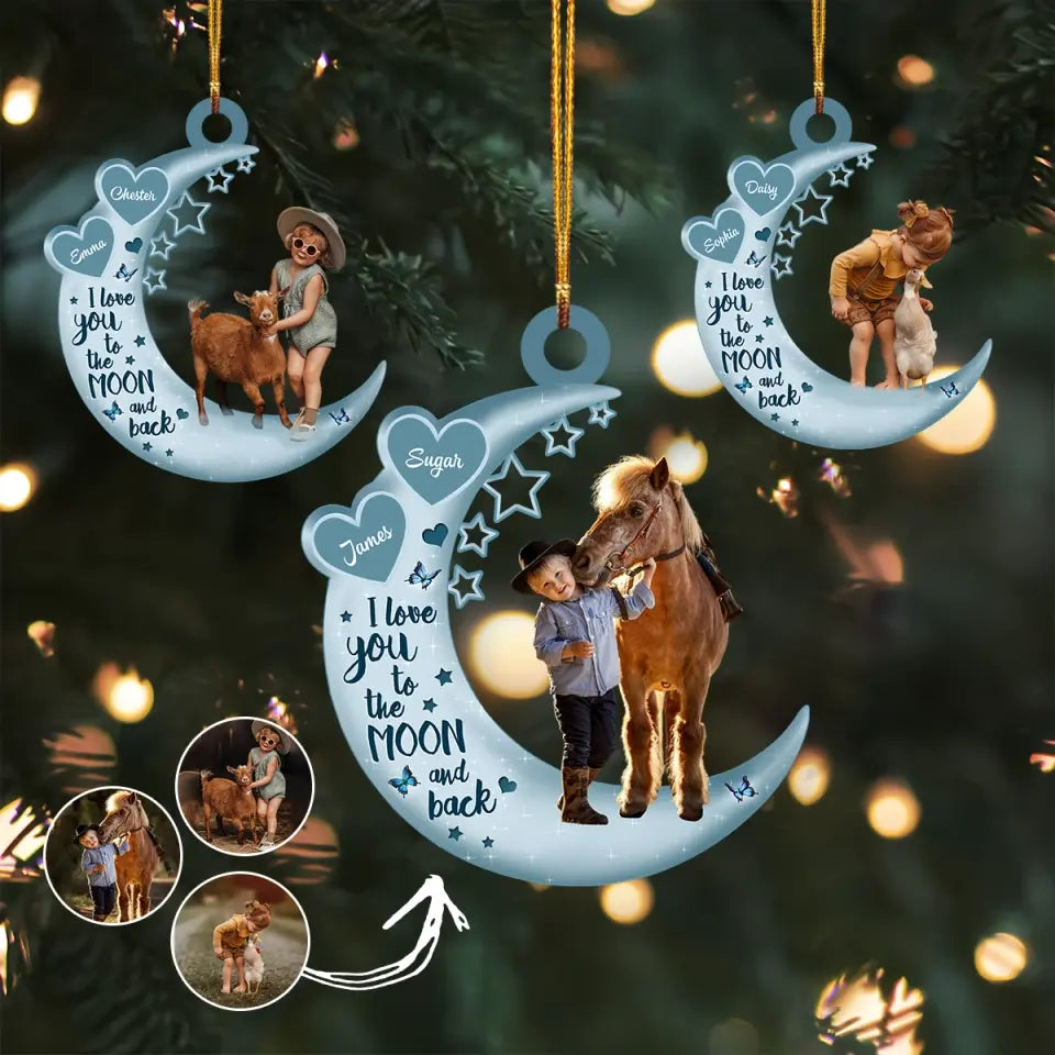 I Love You To The Moon And Back V2 - Personalized Custom Photo Mica Ornament - Christmas Gift For Pet Lover, Pet Owner AGCHD034