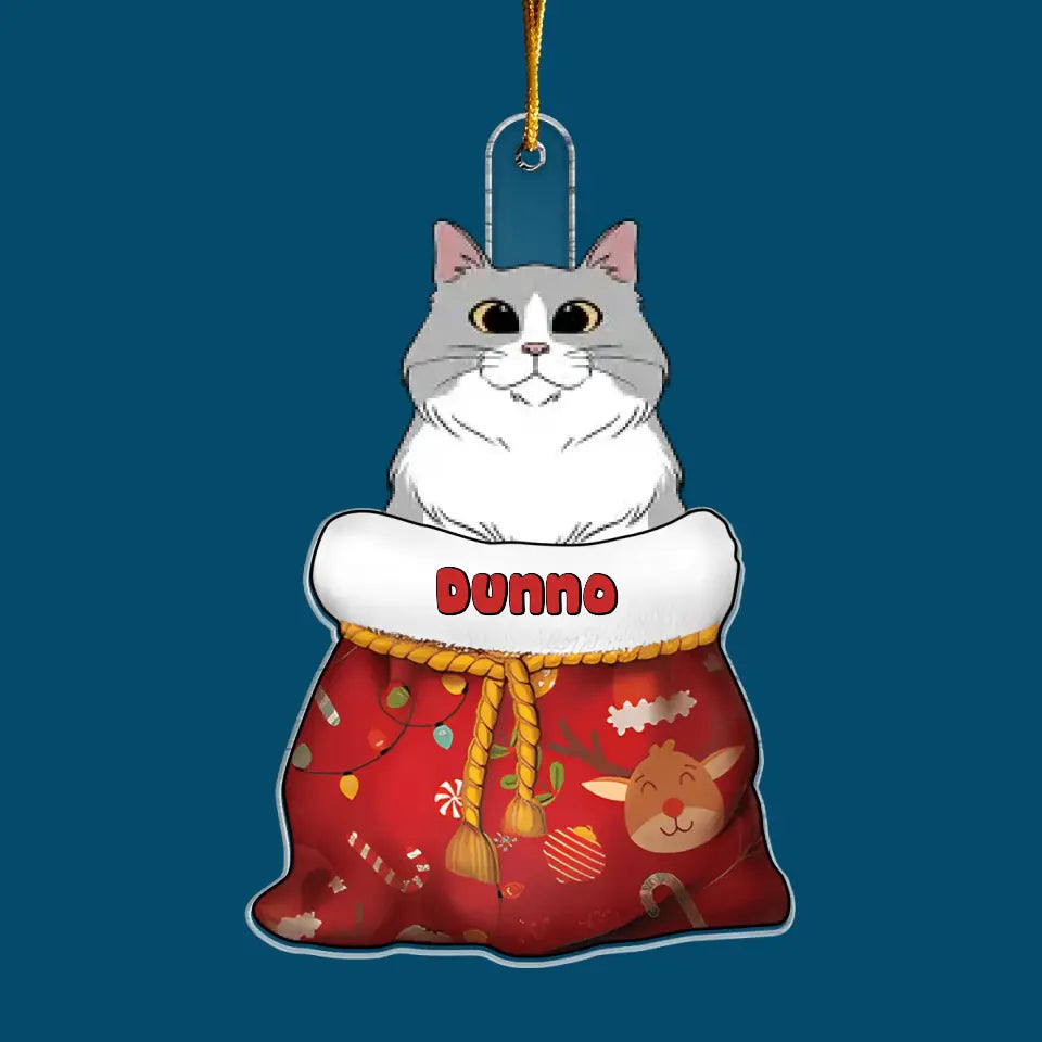 Cat In Christmas Sack - Personalized Custom Mica Ornament - Christmas Gift For Cat Lover, Cat Mom, Cat Dad, Cat Owner CLA0AD007