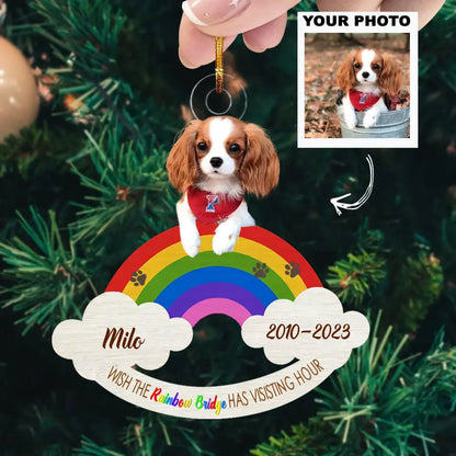 Wish The Rainbow Bridge Has Visiting - Personalized Custom Photo Mica Ornament - Memorial, Christmas Gift For Pet Lover, Pet Owner AGCHD036