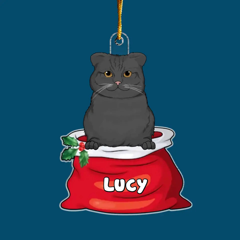 Cat In Santa Sack - Personalized Custom Mica Ornament - Christmas Gift For Cat Mom, Cat Dad, Cat Lover, Cat Owner CLA0AD006