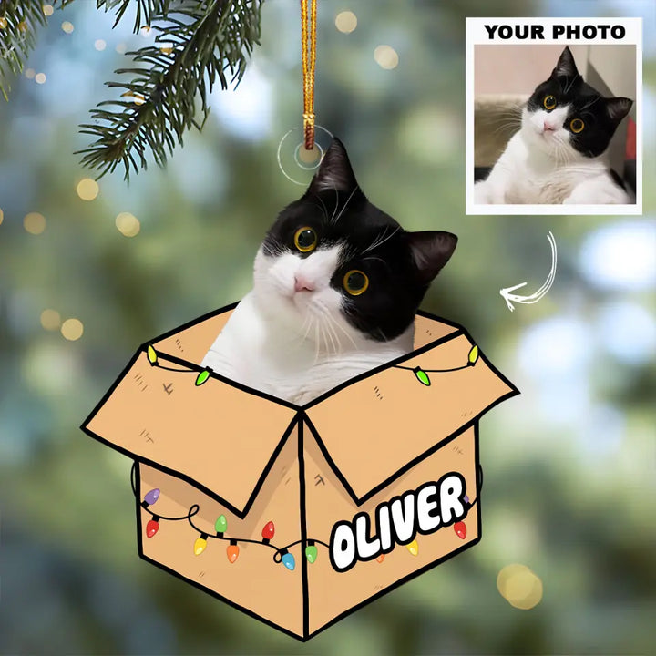 Cat In The Box - Personalized Custom Photo Mica Ornament - Christmas Gift For Cat Mom, Cat Dad, Cat Lover, Cat Owner AGCPD058