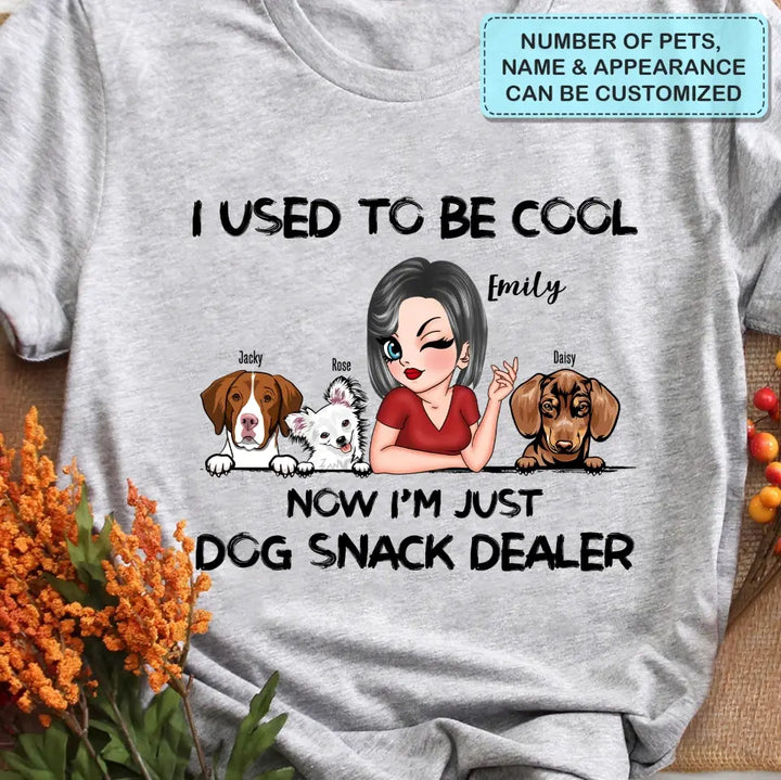 I Used To Be Cool - Personalized Custom T-shirt - Gift For Dog Mom, Cat Mom, Pet Lover