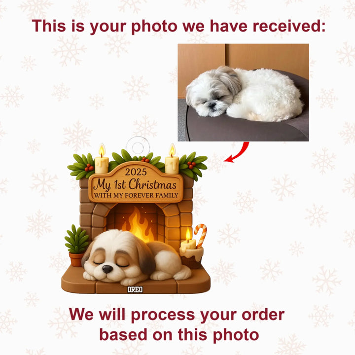 First Christmas With Forever Family - Personalized Photo Ornament - Christmas Gift For Pet Lovers AGP0DH050