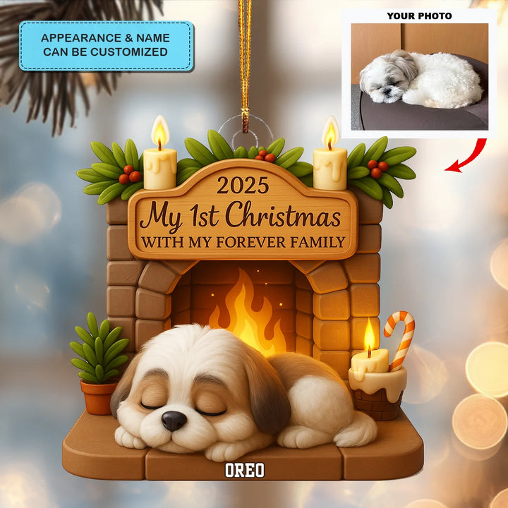 First Christmas With Forever Family - Personalized Photo Ornament - Christmas Gift For Pet Lovers AGP0DH050