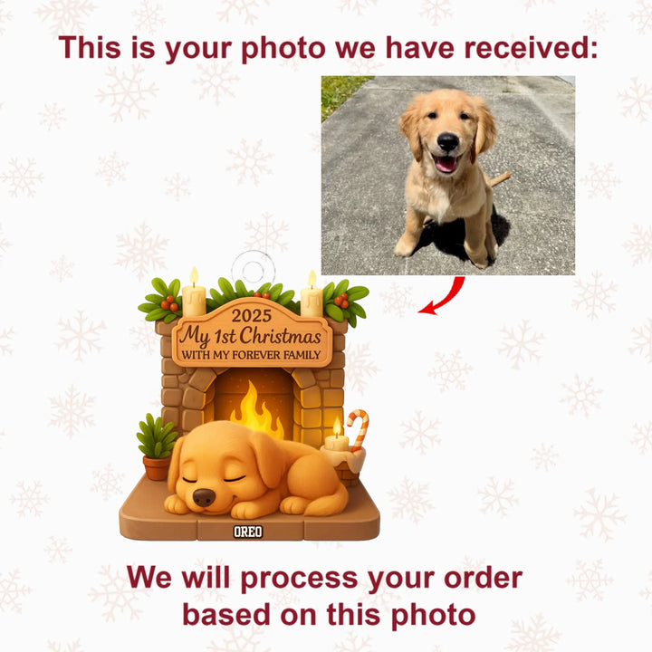 First Christmas With Forever Family V2 - Personalized Photo Ornament - Christmas Gift For Pet Lovers AGP0DH051