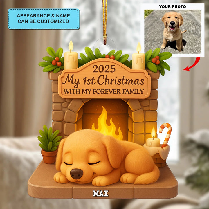 First Christmas With Forever Family V2 - Personalized Photo Ornament - Christmas Gift For Pet Lovers AGP0DH051