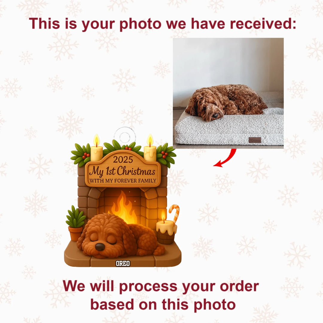 First Christmas With Forever Family V3 - Personalized Photo Ornament - Christmas Gift For Pet Lovers AGP0DH052