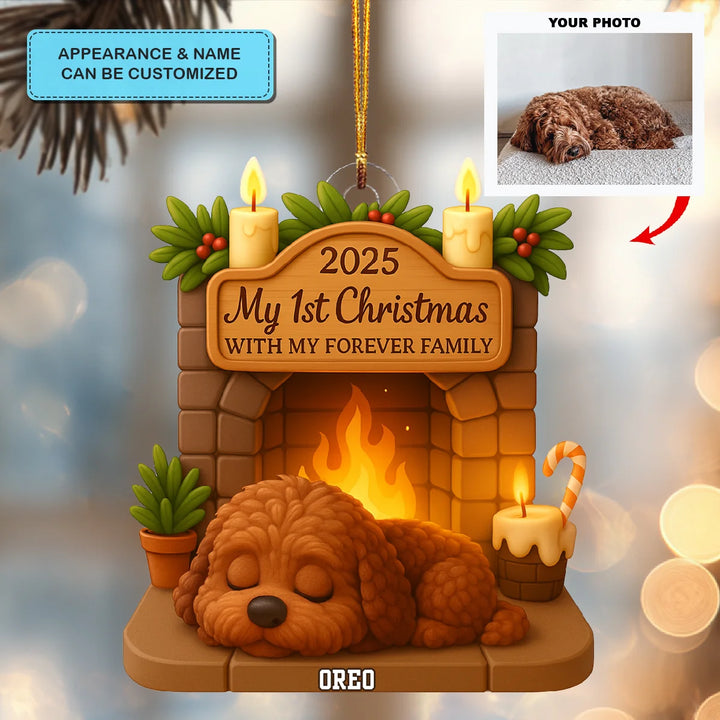First Christmas With Forever Family V3 - Personalized Photo Ornament - Christmas Gift For Pet Lovers AGP0DH052