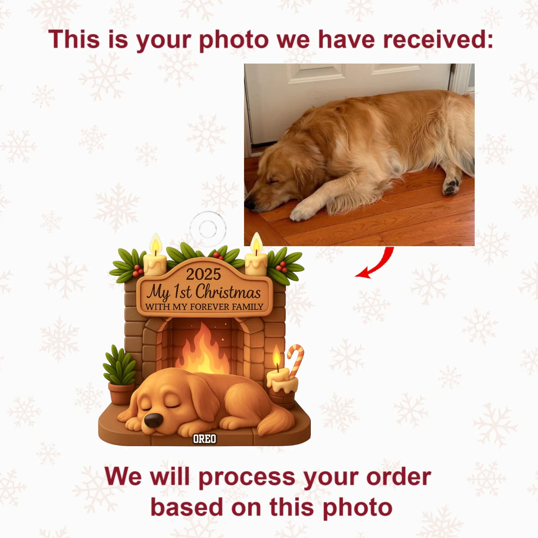First Christmas With Forever Family V4 - Personalized Photo Ornament - Christmas Gift For Pet Lovers AGP0DH053