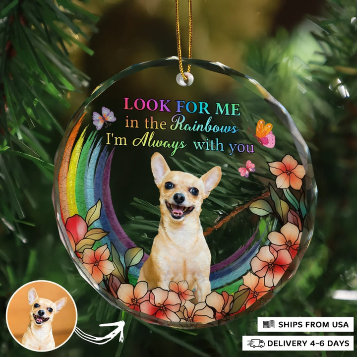 2310_Circle-Glass-Ornament__Pet6_ARND150_ADSG143_Mockup_Manual12