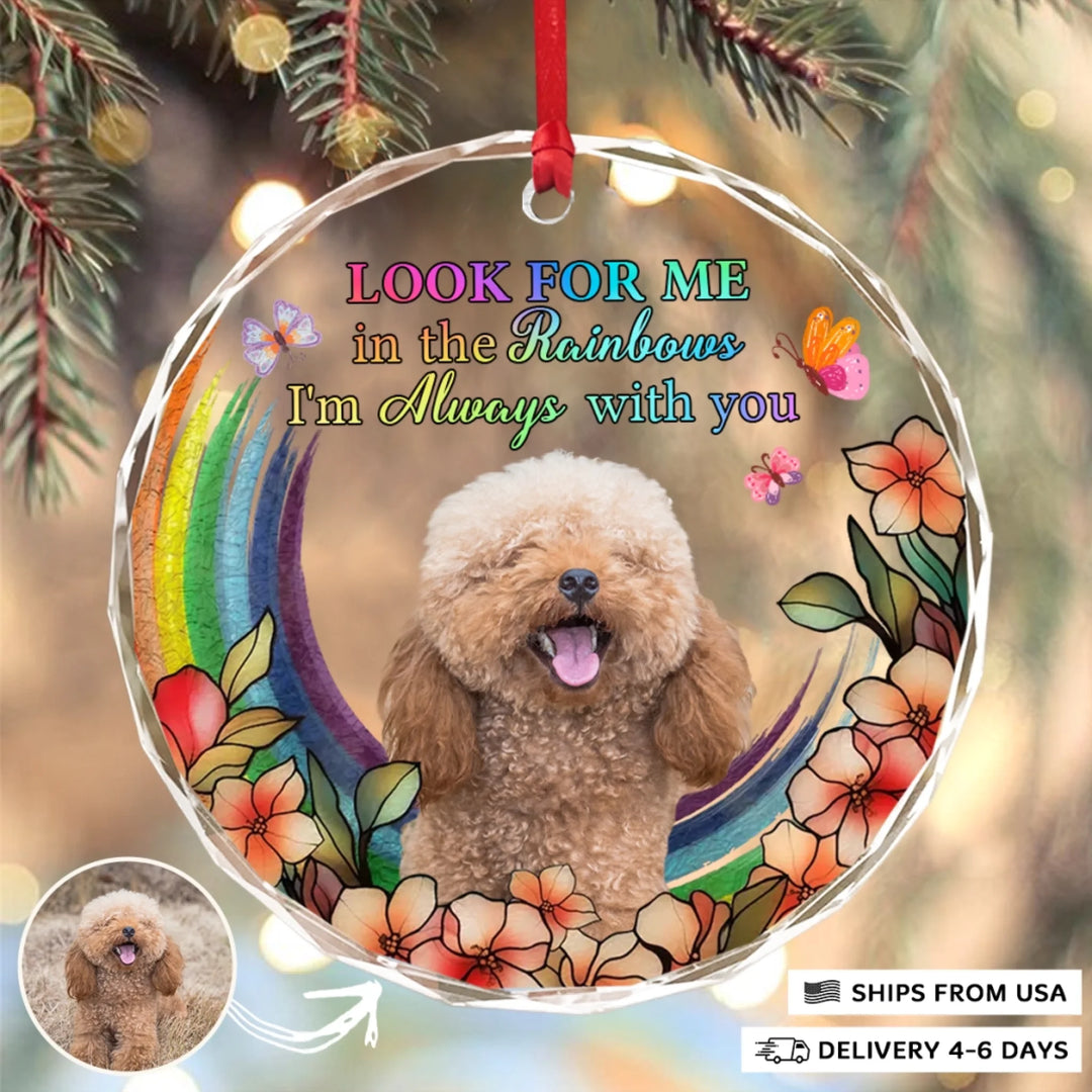 2310_Circle-Glass-Ornament__Pet6_ARND150_ADSG143_Mockup_Manual10