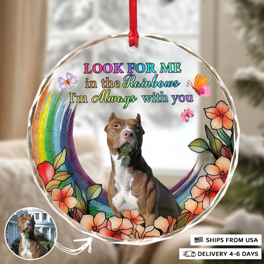 2310_Circle-Glass-Ornament__Pet6_ARND150_ADSG143_Mockup_Manual5