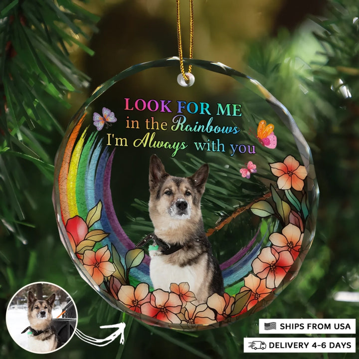 2310_Circle-Glass-Ornament__Pet6_ARND150_ADSG143_Mockup_Manual2