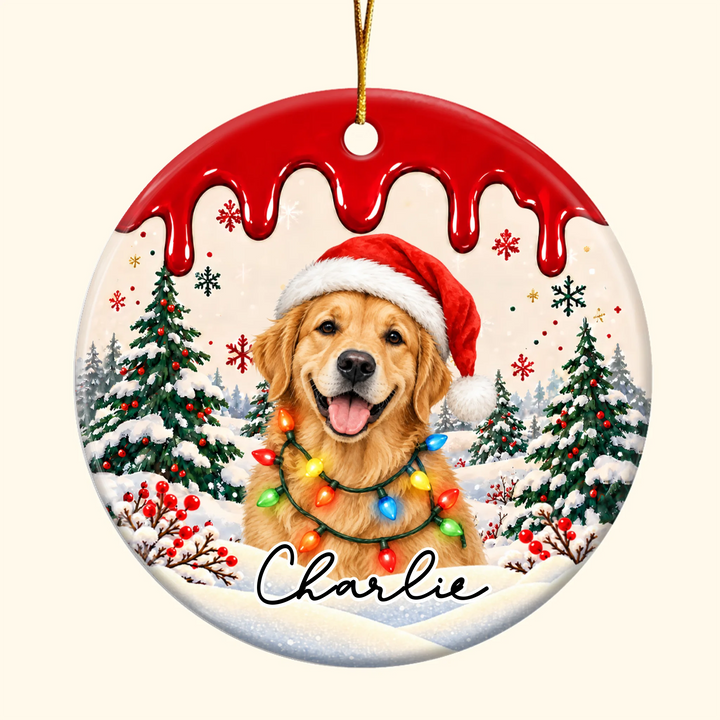 Personalized Pet Christmas Ornament - Ceramic Ornament - Christmas Gift For Family, Pet Lover