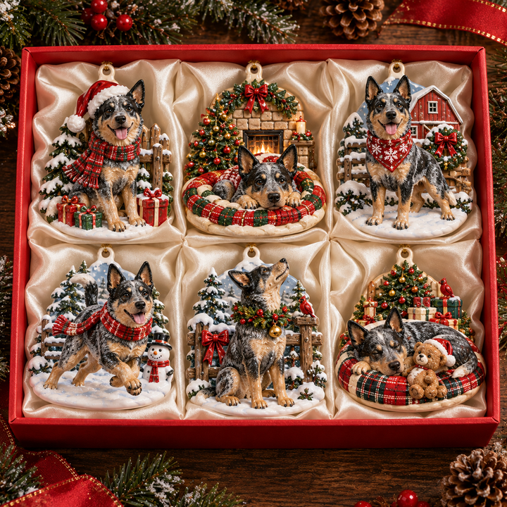 Australian Cattle Dog Christmas Ornament Gift Set NCU0HA119